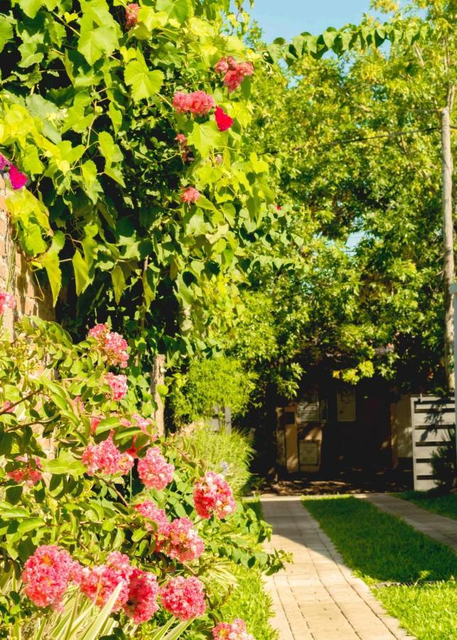 Vina Apartamento Villa Elisa  Exterior foto